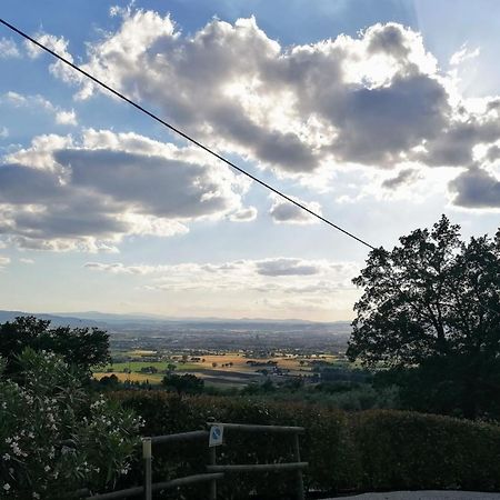 Camere Da Anna Maria Assisi Ngoại thất bức ảnh